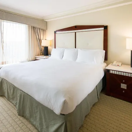 Ac Hotel By Marriott Orlando Lake Buena Vista